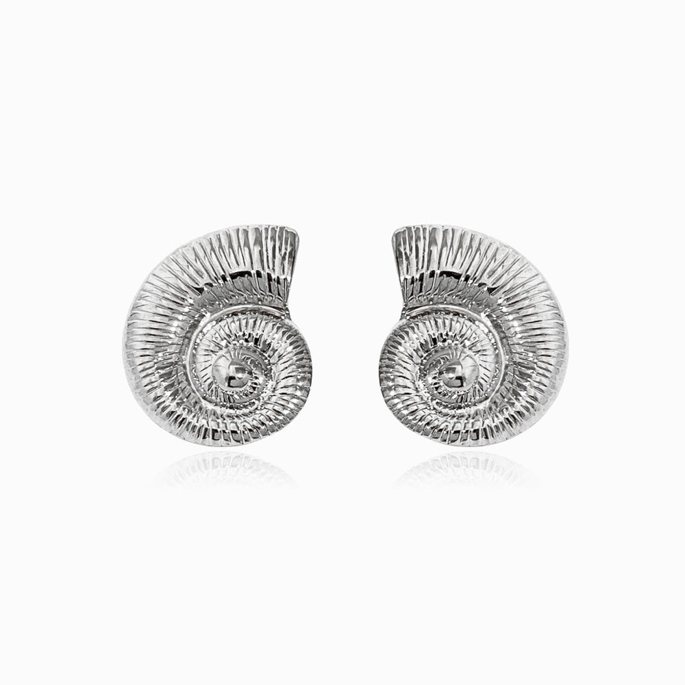 Brincos Caracol em Aço Inoxidável 27x23mm