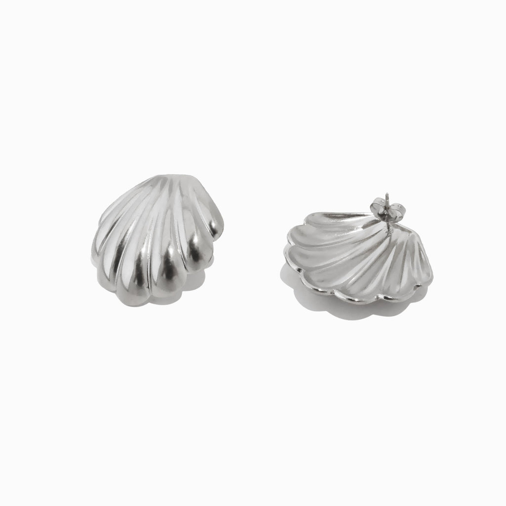 Brincos Concha em Aço Inoxidável 29x29mm