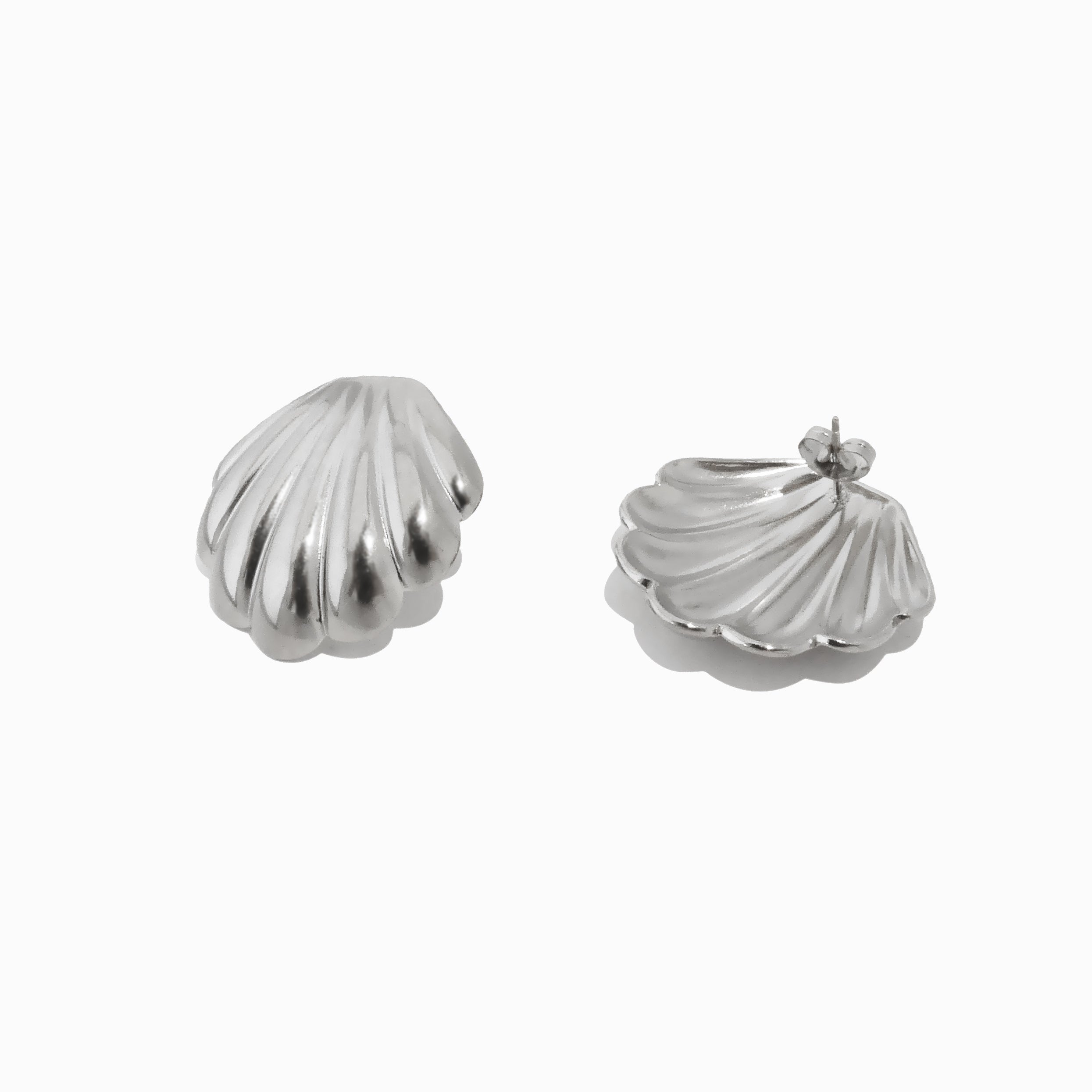 Brincos Concha em Aço Inoxidável 29x29mm