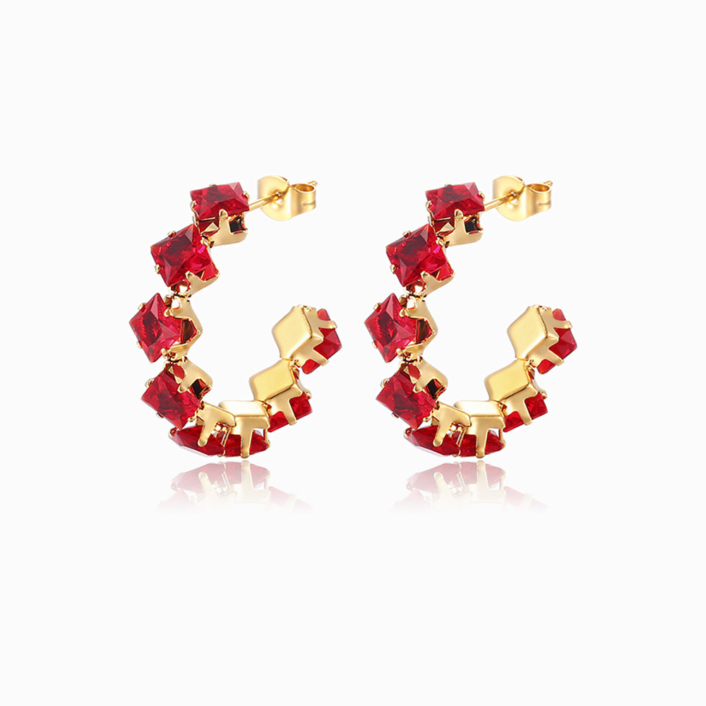 Brincos com Zircónia em Aço Inoxidável 30mm