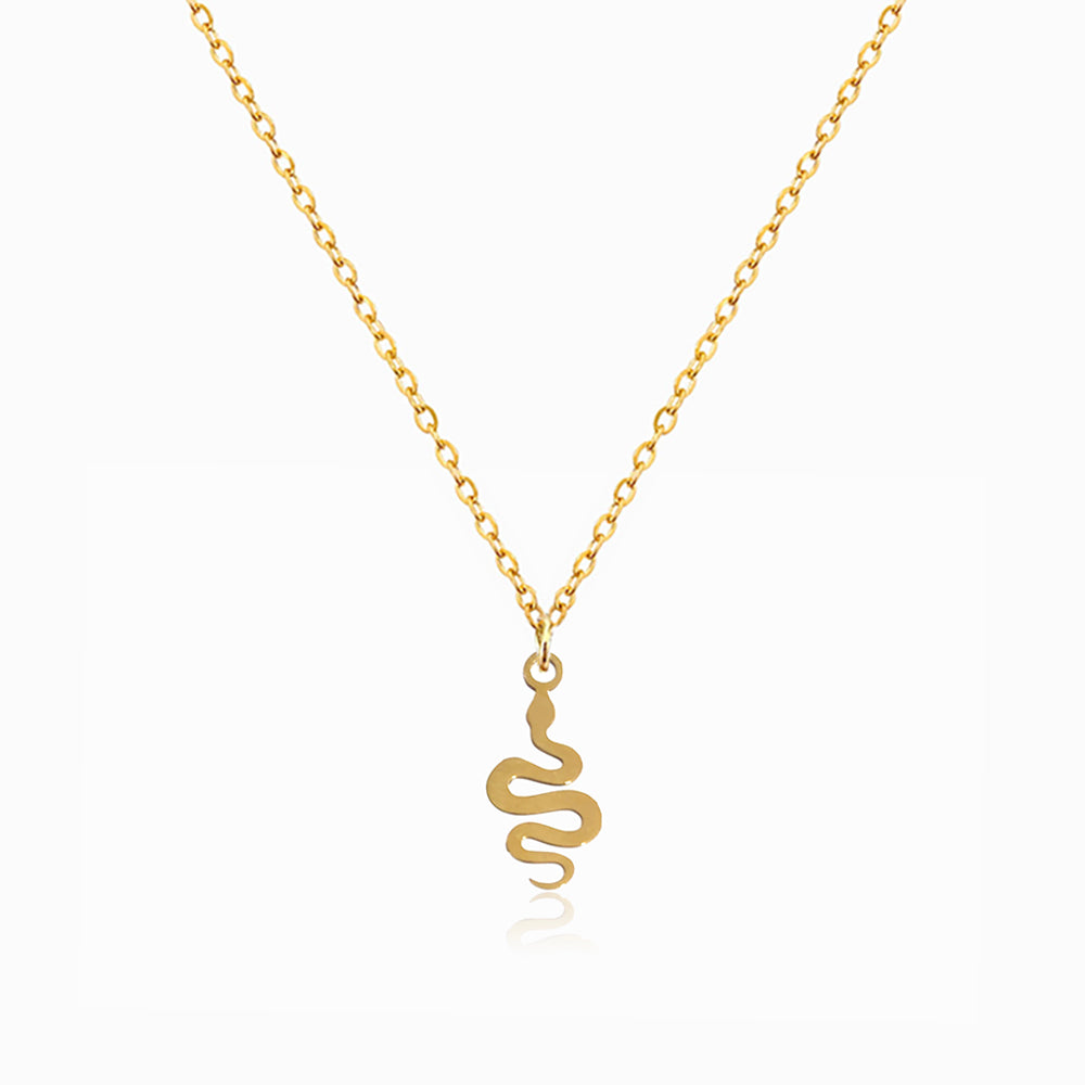Colar Cobra em Aço Inoxidável