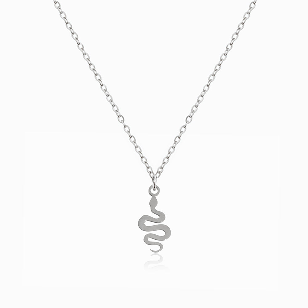 Colar Cobra em Aço Inoxidável