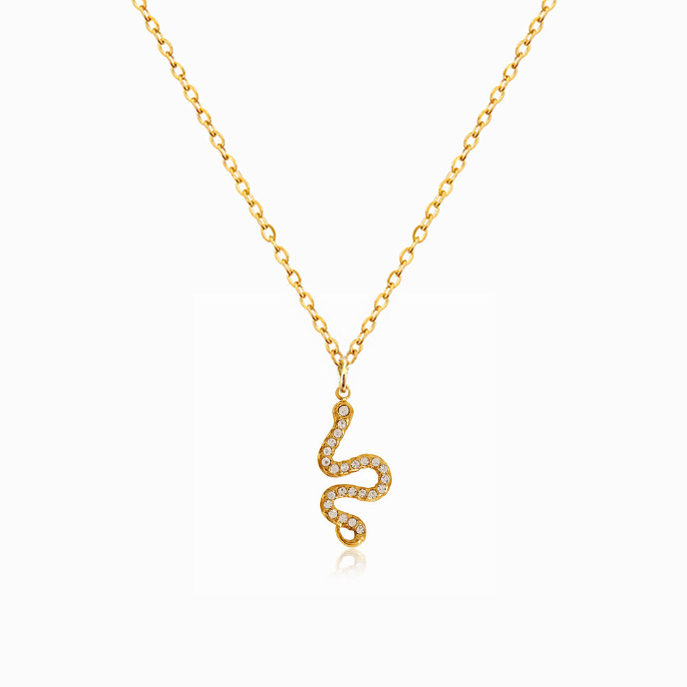 Colar Cobra em Aço Inoxidável