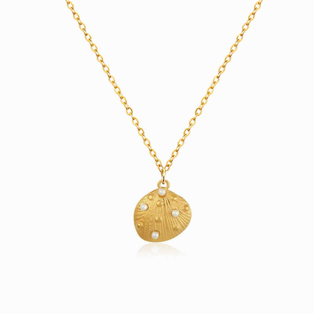 Colar Concha em Aço Inoxidável